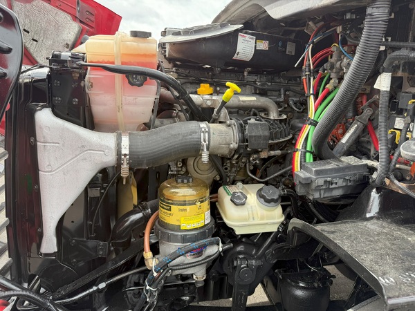 FREIGHTLINER CASCADIA 113DC 2019