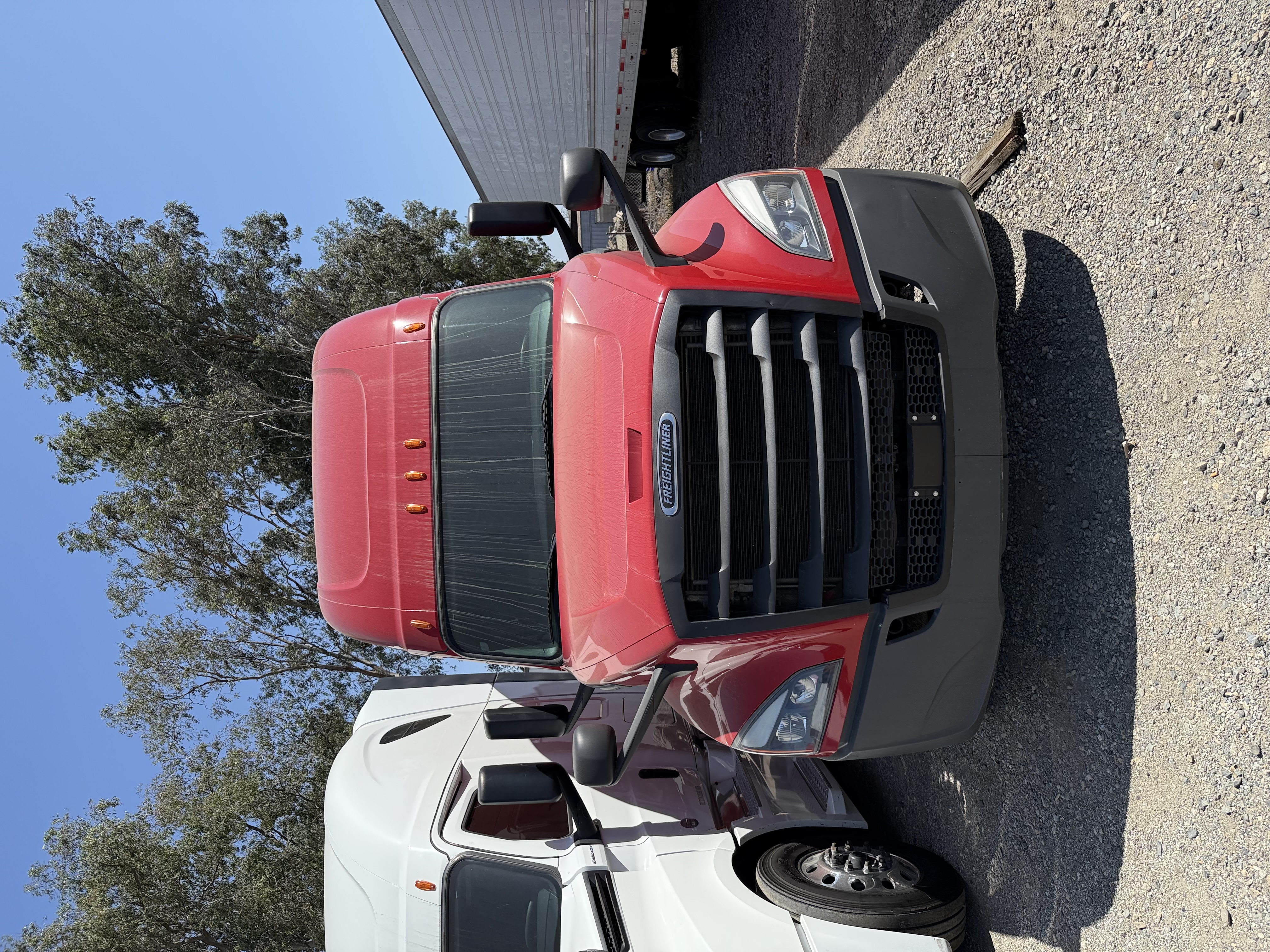 2020 FREIGHTLINER CASCADIA 126SLP - image 2