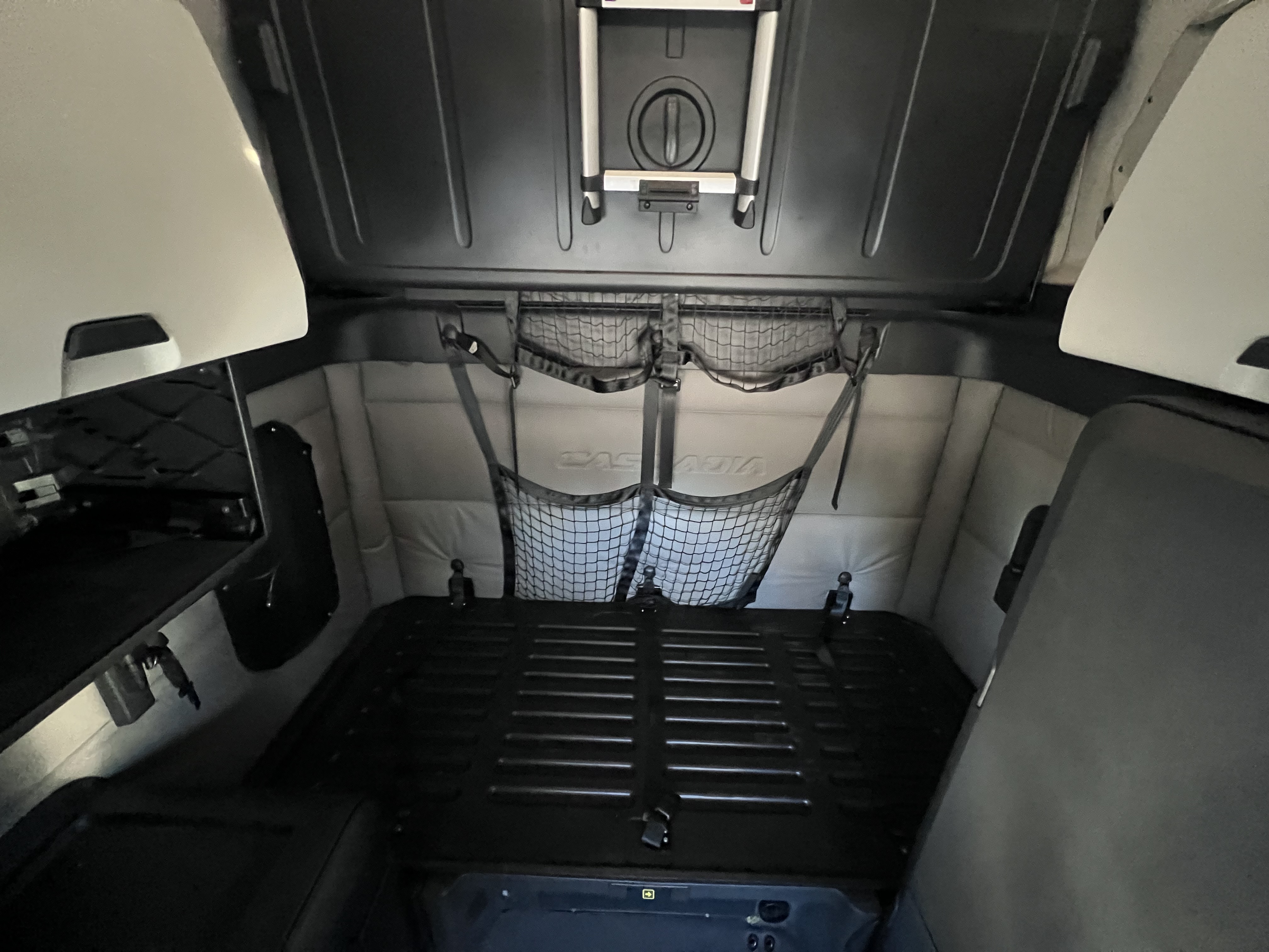 2020 FREIGHTLINER CASCADIA 126SLP - image 21