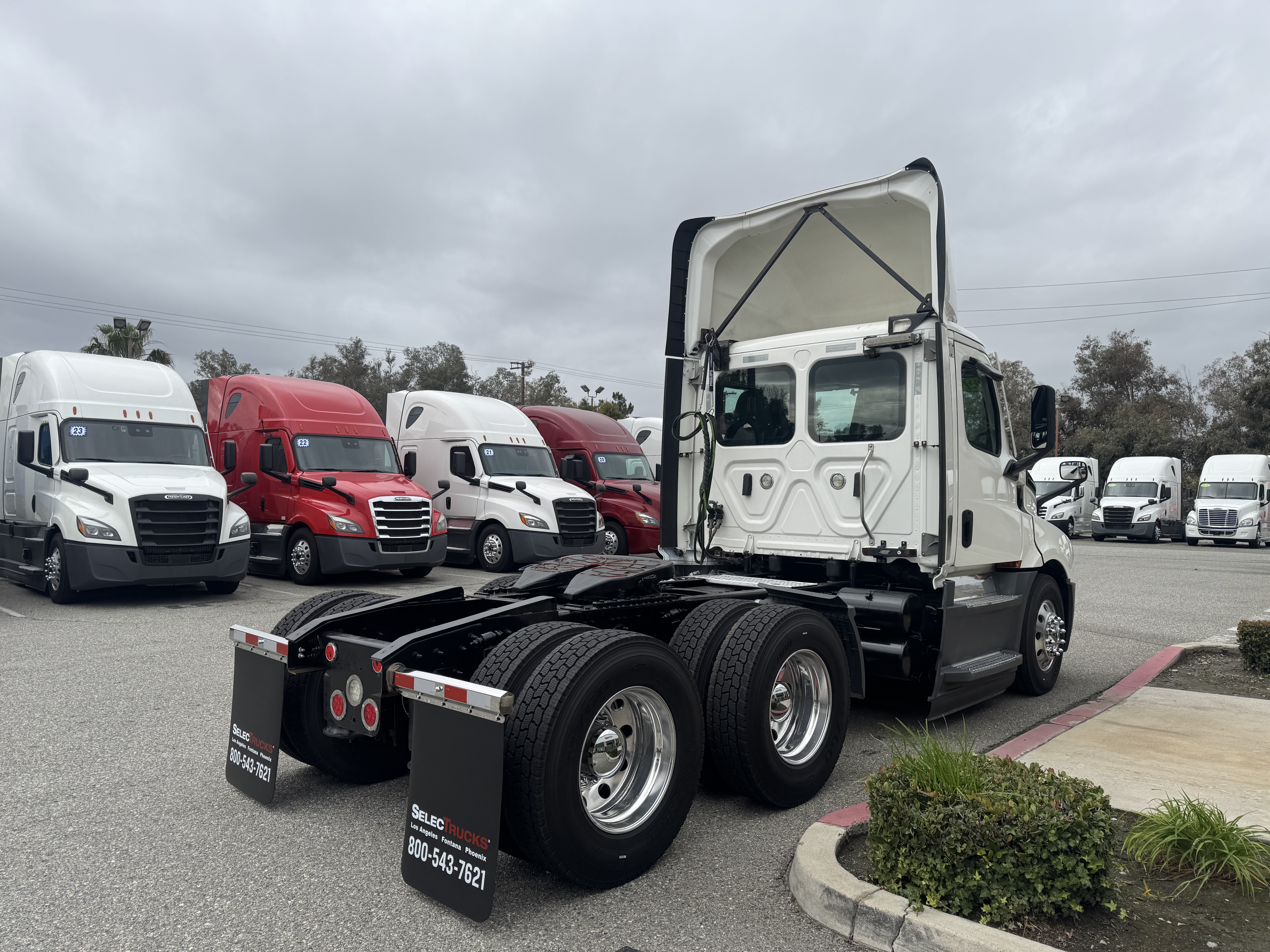 2021 FREIGHTLINER CASCADIA 126DC - image 6