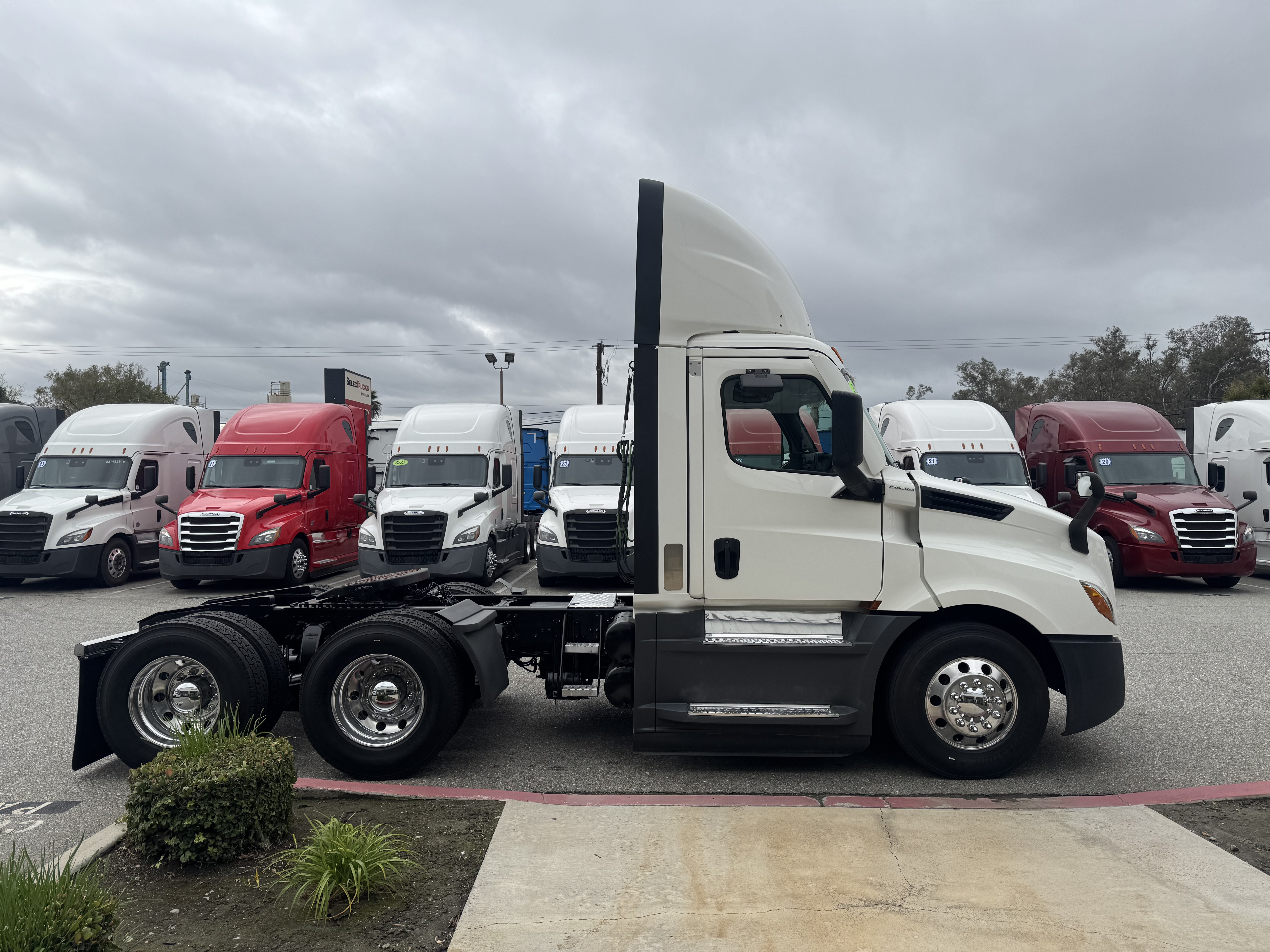 2021 FREIGHTLINER CASCADIA 126DC - image 7