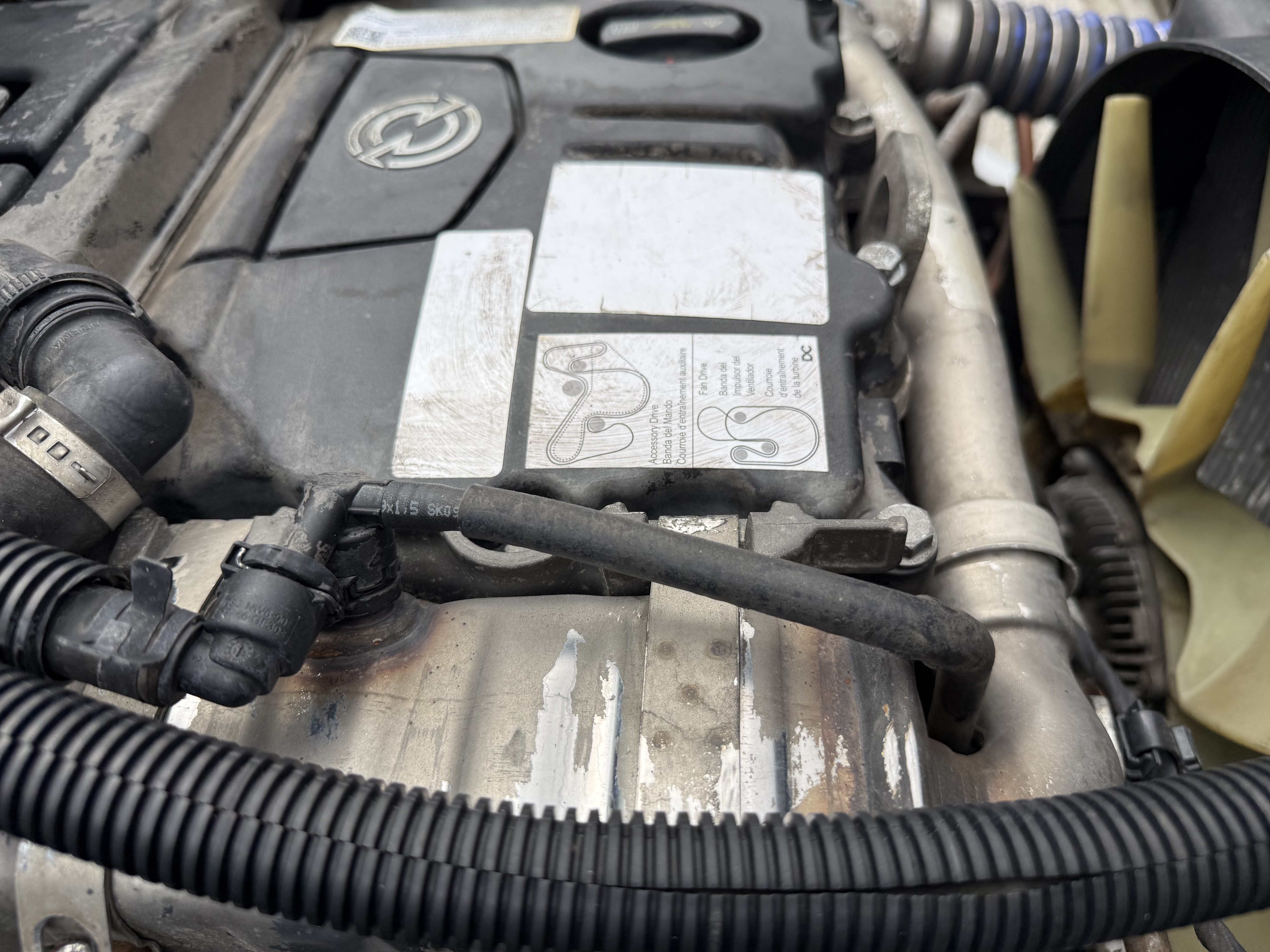 2019 FREIGHTLINER M2106 - image 11